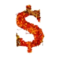 letter initial DOLLAR red color leaves ultra realistic