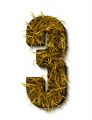 number initial 3 autumn grass ultra realistic