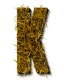 letter initial K autumn grass ultra realistic