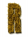letter initial R autumn grass ultra realistic