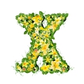 letter initial X spring colorful blooming with vivid green leaves yellow flowers ultra realistic