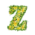 letter initial Z spring colorful blooming with vivid green leaves yellow flowers ultra realistic